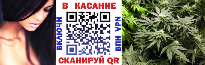Виды наркоты Малая Вишера СК Гашиш