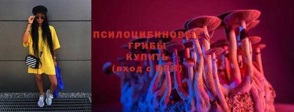 бутират Белокуриха
