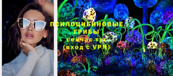 бутират Белокуриха