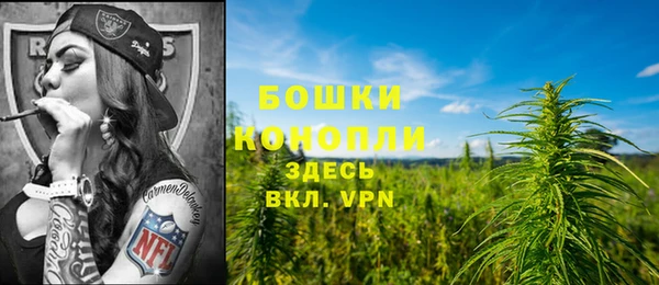 бутират Белокуриха